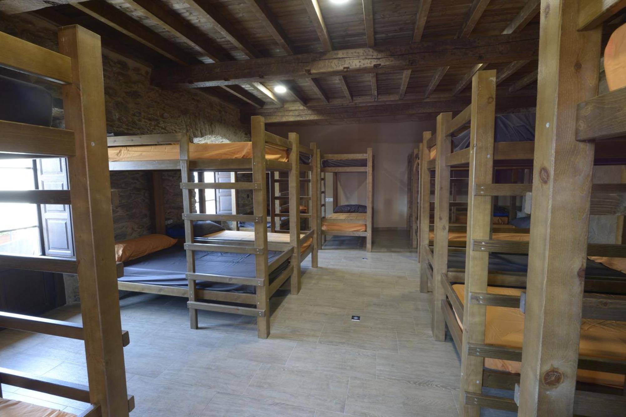 Bunk Bed in Mixed Dormitory Room,243312129:JPEG